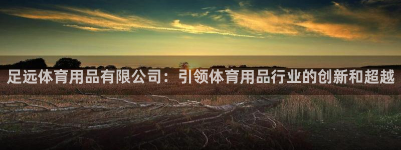 欧陆娱乐官网首页网址：足远体育用品有限公司：引领体育