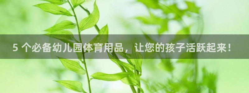 欧陆娱乐有限公司：5 个必备幼儿园体育用品，让您的孩