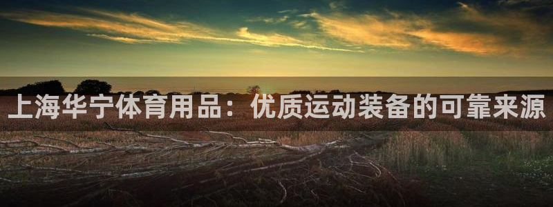 欧陆娱乐注册代理：上海华宁体育用品：优质运动装备的可