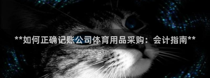 欧陆娱乐总代理是谁：**如何正确记账公司体育用品采购