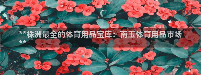 欧陆娱乐总代理是谁：**株洲最全的体育用品宝库：南玉