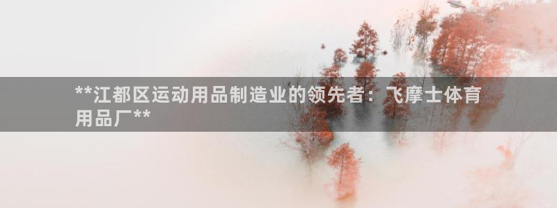 欧陆娱乐平台咋样赚钱的：**江都区运动用品制造业的领