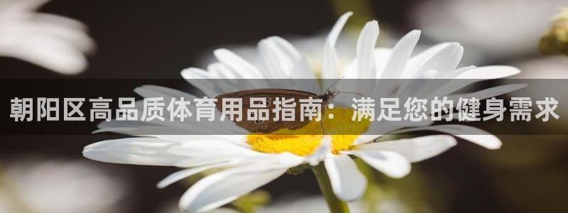 欧陆娱乐安全?：朝阳区高品质体育用品指南：满足您的健