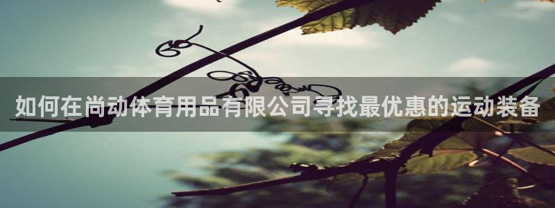 欧陆娱乐代理 贴吧是真的吗：如何在尚动体育用品有限公