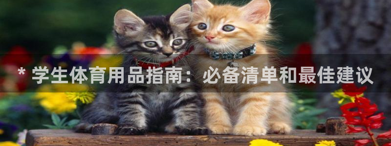 欧陆娱乐官网：* 学生体育用品指南：必备清单和最佳建
