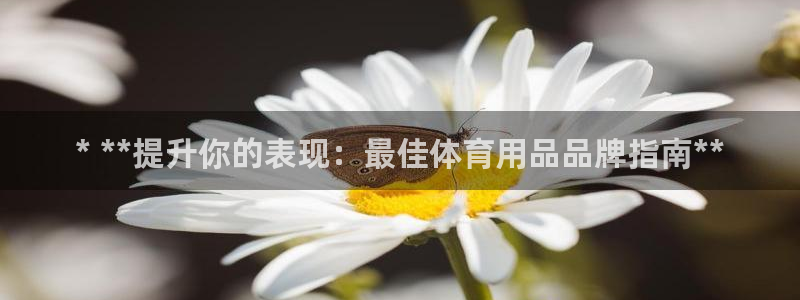 欧陆娱乐怎么注册会员账号啊：* **提升你的表现：最