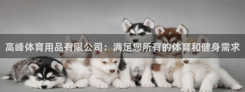 欧陆注册码：高峰体育用品有限公司：满足您所有的体育和