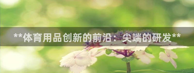 欧陆娱乐代理 贴吧官网：**体育用品创新的前沿：尖端