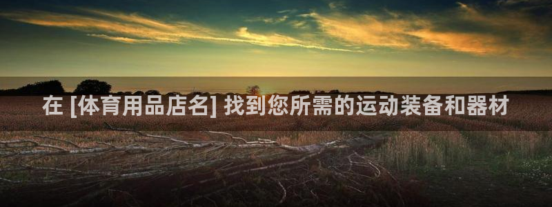 欧陆娱乐共创美好：在 [体育用品店名] 找到您所需的