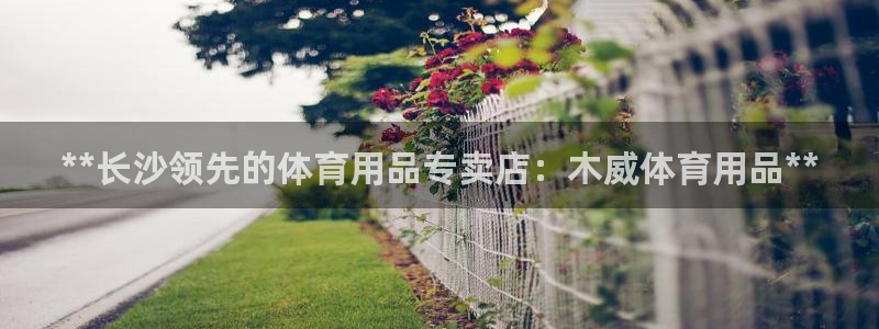欧陆娱乐挂机怎么玩游戏：**长沙领先的体育用品专卖店
