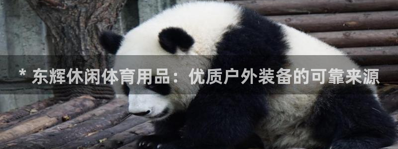 欧陆娱乐是正规平台吗安全吗：* 东辉休闲体育用品：优