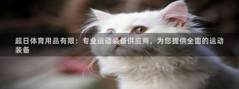 欧陆娱乐官网下载安装手机版：超日体育用品有限：专业运