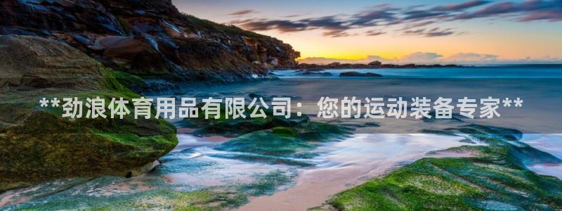 欧陆娱乐代理 贴吧官网：**劲浪体育用品有限公司：您