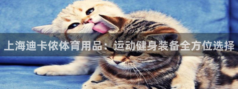 欧陆娱乐平台登陆地址在哪看：上海迪卡侬体育用品：运动