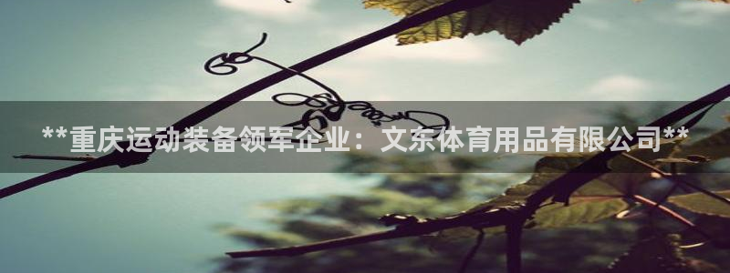 欧陆娱乐平台咋样赚钱快：**重庆运动装备领军企业：文