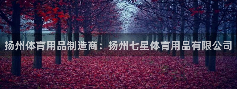 欧陆娱乐是正规平台吗安全吗可靠吗：扬州体育用品制造商