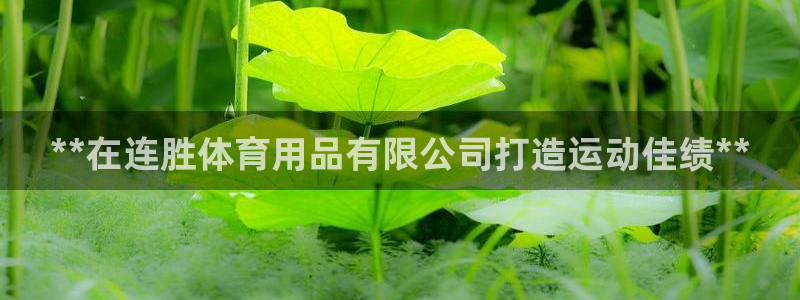 欧陆娱乐官网网址：**在连胜体育用品有限公司打造运动