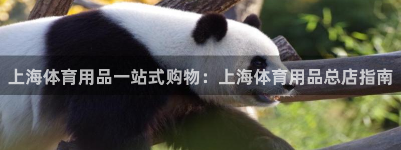 欧陆娱乐官网注册中心在哪：上海体育用品一站式购物：上