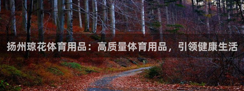欧陆娱乐平台登陆地址是什么意思：扬州琼花体育用品：高