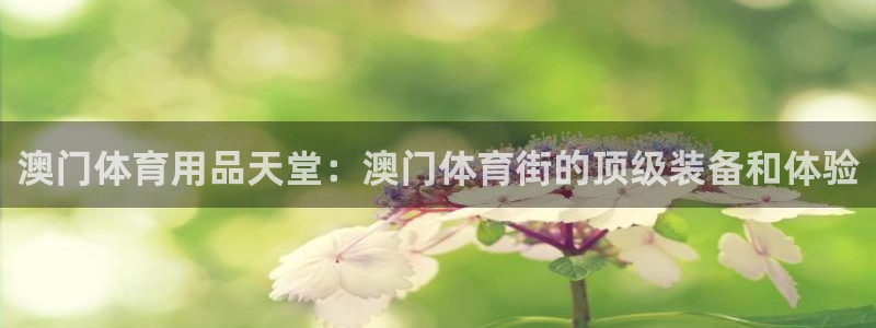 欧陆娱乐平台咋样啊知乎：澳门体育用品天堂：澳门体育街