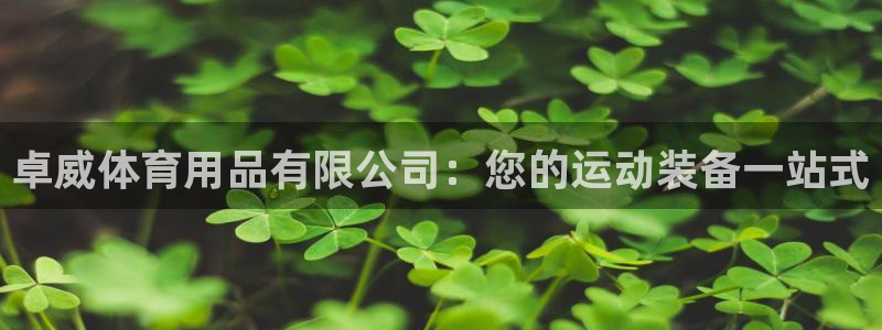 欧陆娱乐有限公司：卓威体育用品有限公司：您的运动装备