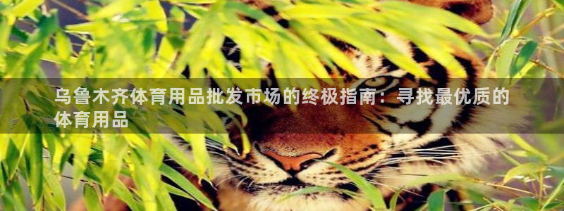 欧陆娱乐是那个旗下的品牌：乌鲁木齐体育用品批发市场的