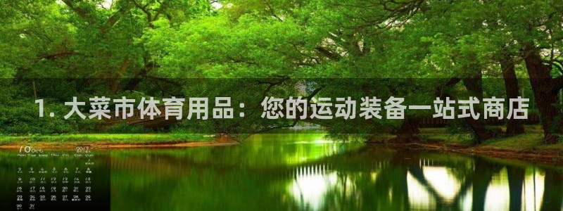 欧陆公司在哪里：1. 大菜市体育用品：您的运动装备一