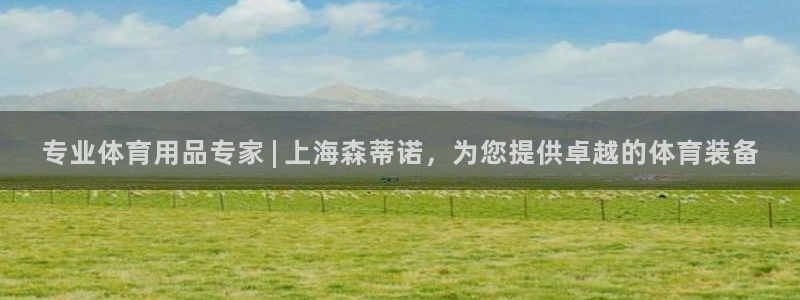 欧陆娱乐官网首页：专业体育用品专家 | 上海森蒂诺，