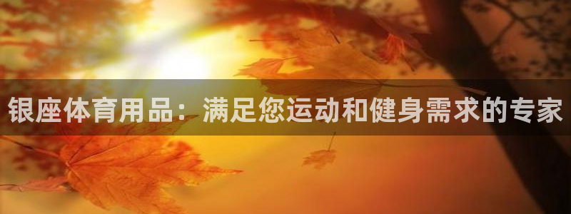 欧陆娱乐是干什么的：银座体育用品：满足您运动和健身需