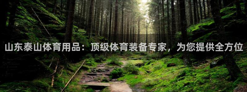 欧陆娱乐打什么方案赚钱：山东泰山体育用品：顶级体育装