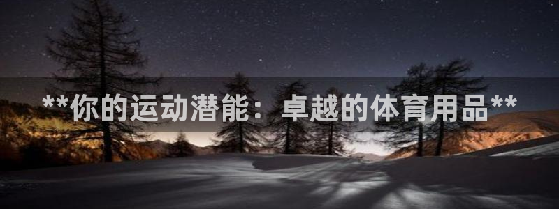 欧陆软件官网：**你的运动潜能：卓越的体育用品**