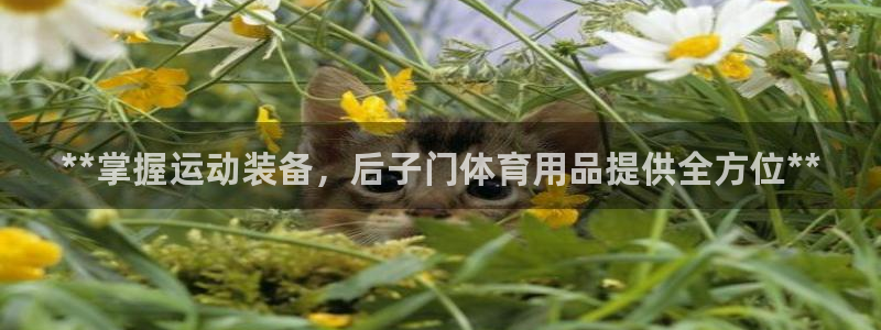 欧陆娱乐官网首页下载：**掌握运动装备，后子门体育用