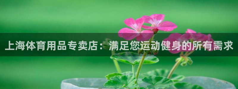 欧陆娱乐是正规平台吗安全吗可信吗知乎：上海体育用品专