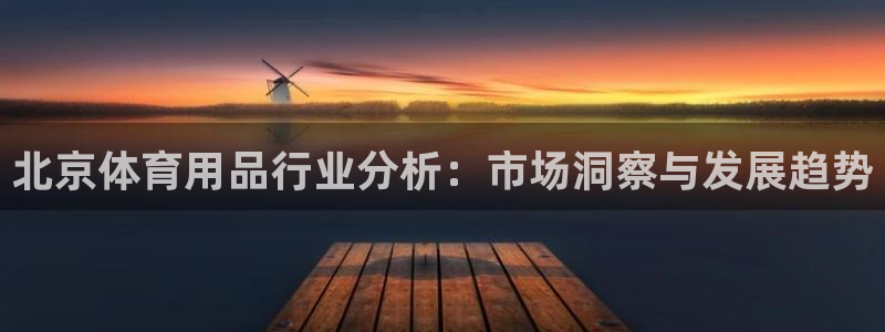 欧陆娱乐测速：北京体育用品行业分析：市场洞察与发展趋
