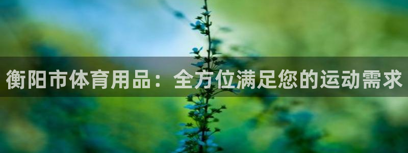 欧陆娱乐挂机项目怎么设置