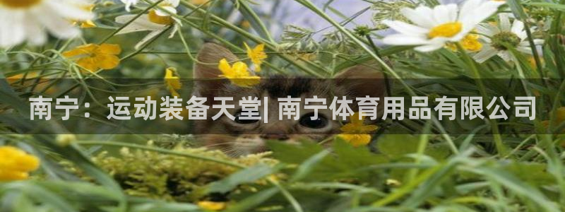 欧陆娱乐百科百度：南宁：运动装备天堂| 南宁体育用品