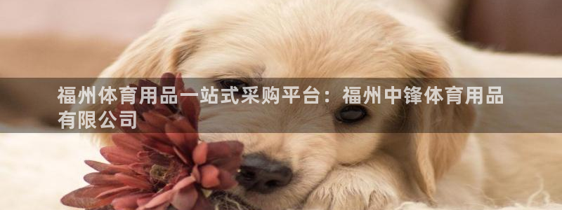 欧陆娱乐注册链接怎么弄出来：福州体育用品一站式采购平