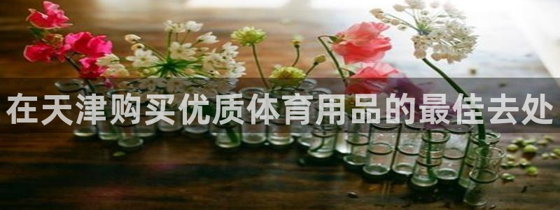 欧陆娱乐注册平台：在天津购买优质体育用品的最佳去处