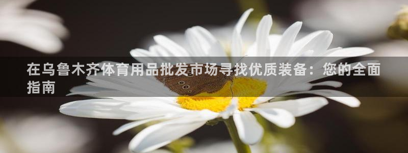 欧陆娱乐平台优势：在乌鲁木齐体育用品批发市场寻找优质