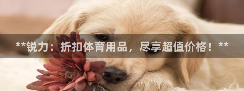 欧陆娱乐挂机怎么玩游戏：**锐力：折扣体育用品，尽享