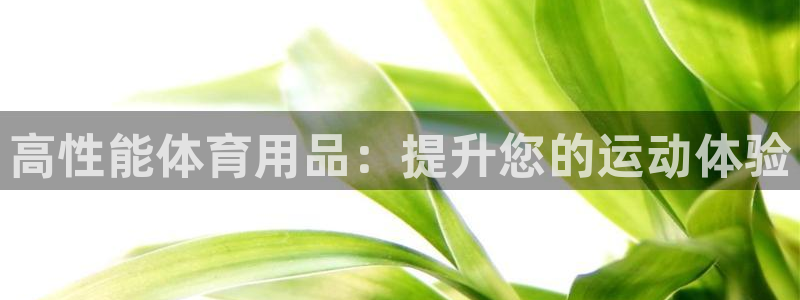 欧陆娱乐挂机怎么玩的：高性能体育用品：提升您的运动体