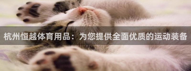 欧陆娱乐安全吗：杭州恒越体育用品：为您提供全面优质的