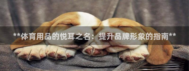 欧陆娱乐登录注册平台官网：**体育用品的悦耳之名：提
