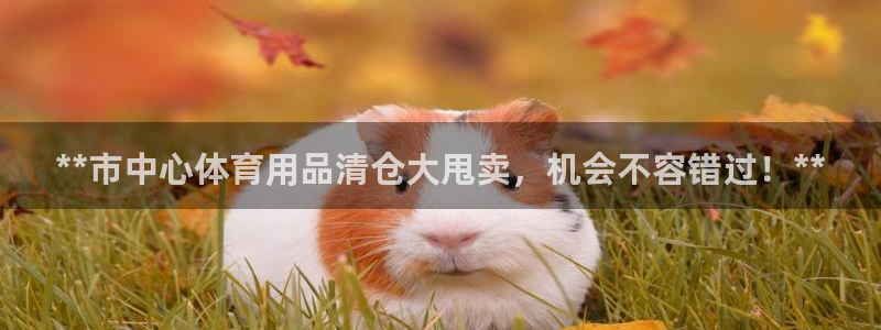欧陆娱乐app打不开怎么回事儿：**市中心体育用品清