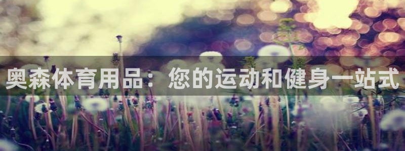 欧陆娱乐游戏特色：奥森体育用品：您的运动和健身一站式