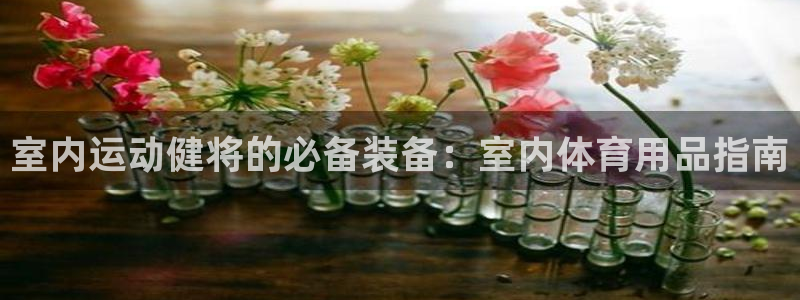 欧陆娱乐是正规吗?：室内运动健将的必备装备：室内体育