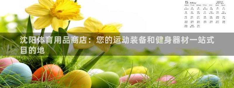 欧陆娱乐挂机项目：沈阳体育用品商店：您的运动装备和健