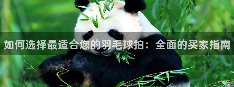 欧陆娱乐平台登录不上去怎么办：如何选择最适合您的羽毛