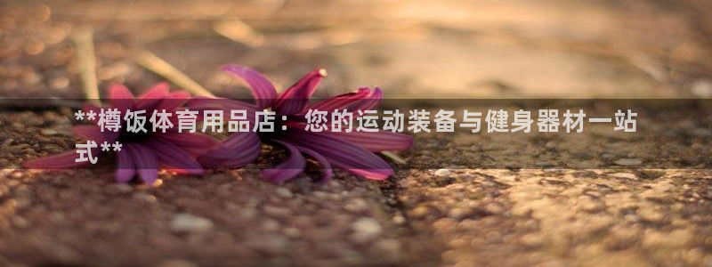 欧陆娱乐官网下载安装苹果：**樽饭体育用品店：您的运