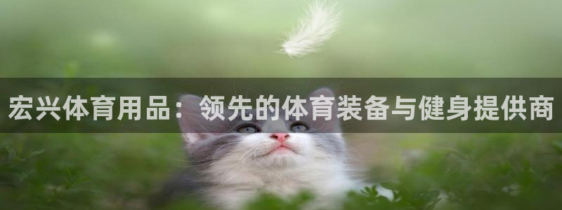 欧陆娱乐游戏：宏兴体育用品：领先的体育装备与健身提供